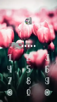 AppLock Theme Tulip android App screenshot 2